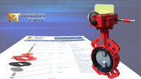 //ikrorwxhnjoklo5p-static.micyjz.com/cloud/prBprKiklmSRplrrrnjrio/Electric-Actuated-Wafer-Butterfly-Valve-Two-Stem-Design-CF8M-Disc-Replaceable-EPDM-Seat.jpg