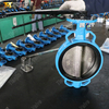 Ductile Iron Concentric Wafer Butterfly Valve with EPDM Seat produced by OEM Valve Supplier China-Tianjin Worlds Valve