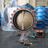 Aluminum Bronze Disc and Body Lug Butterfly Valve Manufacturer China - Tianjin Worlds Valve Co., Ltd.